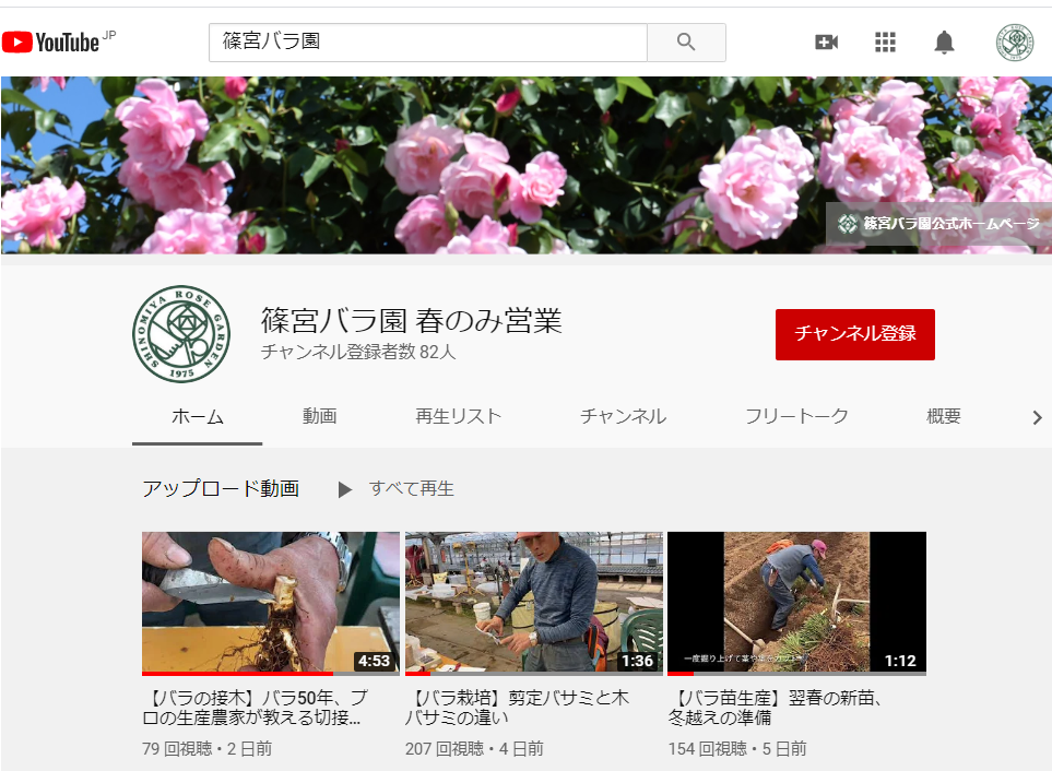 Youtubeチャンネルを開設いたしました 篠宮バラ園