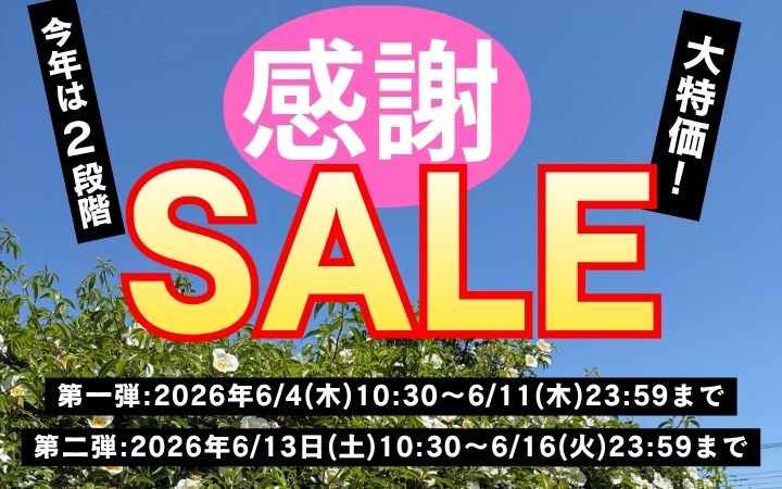 ライトロード バラ売りお値下げ不可 6月4日(木)10:30より！感謝SALE開催！長尺、大苗、新苗、盆栽が大特価