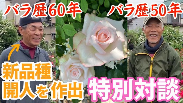 今年はこれが最後です！】セール第二弾!最大50％OFF!!【6月13日～6月16