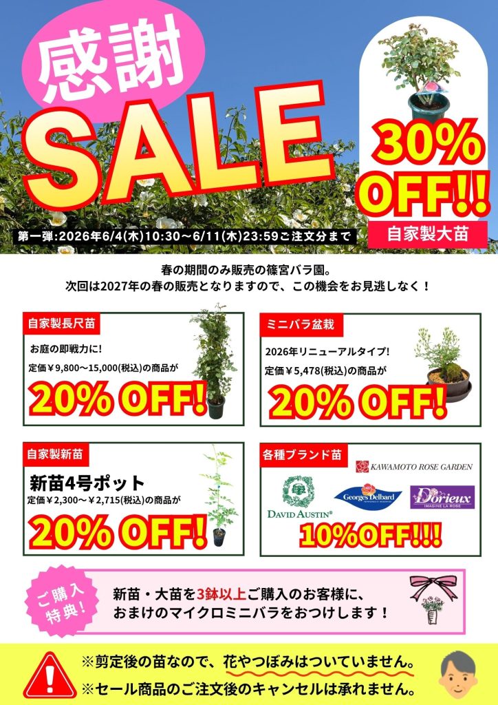 6月4日(木)10:30より！感謝SALE開催！長尺、大苗、新苗、盆栽が大特価