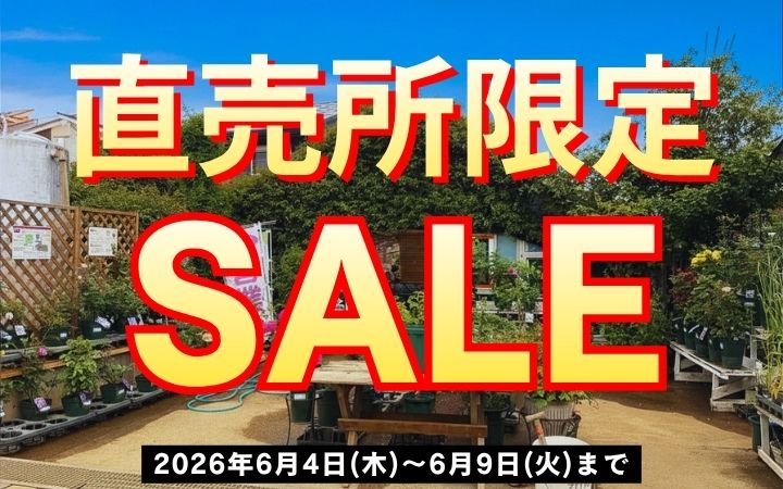 6月4日(木)10:30より！感謝SALE開催！長尺、大苗、新苗、盆栽が大特価