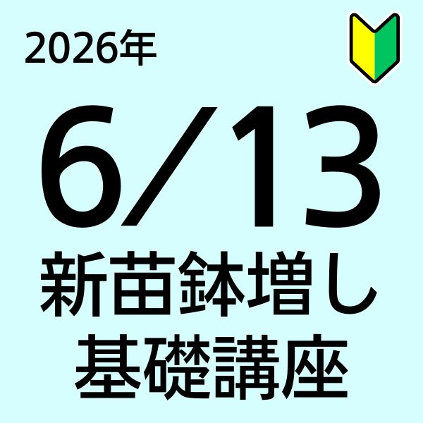 初心者向け新苗講座】26年6月13日(土)10:30～｜バラ苗の通販の篠宮バラ園