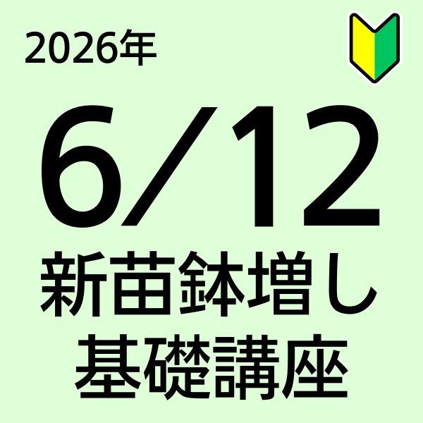 ご予約苗 初心者向け新苗講座】26年6月12日(金)10:30～｜バラ苗の通販の篠宮バラ園 その他多肉植物