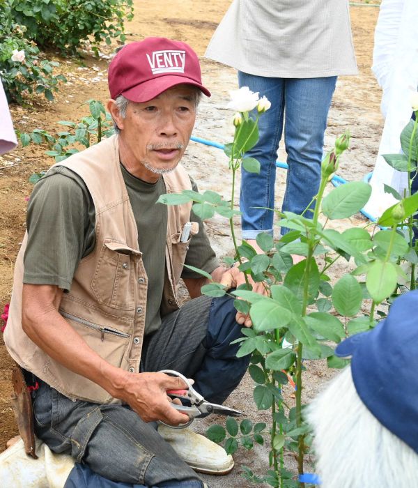 初心者向け新苗講座】26年6月13日(土)10:30～｜バラ苗の通販の篠宮バラ園